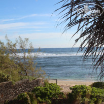 фото из отзыва ID 640494