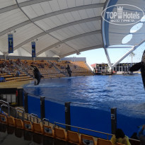 фото из отзыва ID 640622