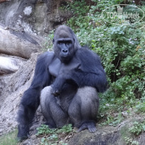 фото из отзыва ID 640622