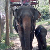 фото из отзыва ID 640708