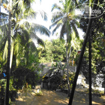 фото из отзыва ID 640789