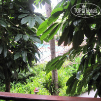 фото из отзыва ID 640866