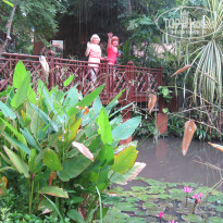 фото из отзыва ID 640866