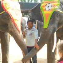 фото из отзыва ID 640893