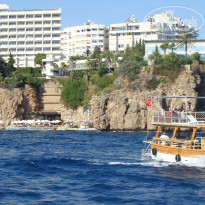 фото из отзыва ID 641059