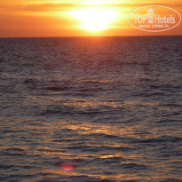 фото из отзыва ID 641274