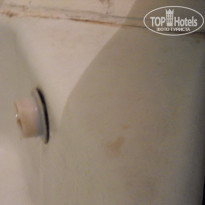 фото из отзыва ID 641332