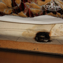 фото из отзыва ID 641332