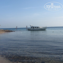 фото из отзыва ID 641947