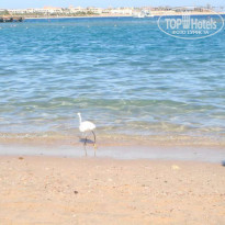 фото из отзыва ID 64286