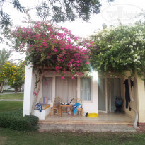 фото из отзыва ID 642370