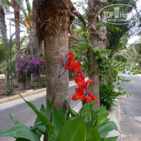 фото из отзыва ID 642308