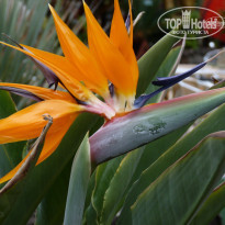 фото из отзыва ID 642308