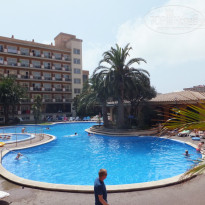 фото из отзыва ID 642813