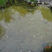 фото из отзыва ID 642975