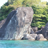 фото из отзыва ID 642599