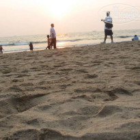 фото из отзыва ID 64302