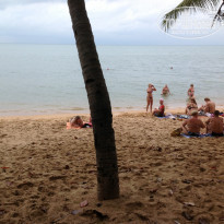 фото из отзыва ID 643220