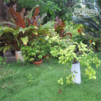 фото из отзыва ID 643248