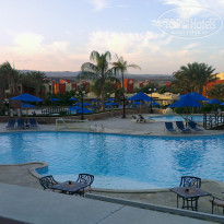 фото из отзыва ID 643272