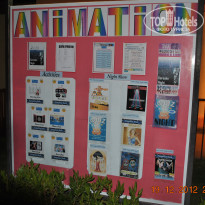 фото из отзыва ID 643379