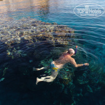 фото из отзыва ID 643486