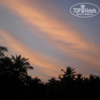 фото из отзыва ID 643496