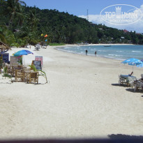 фото из отзыва ID 643582