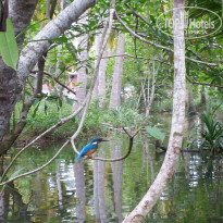 фото из отзыва ID 643066