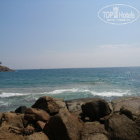 фото из отзыва ID 643066