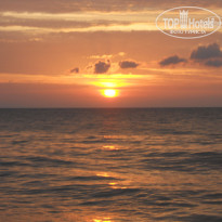 фото из отзыва ID 643714