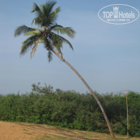 фото из отзыва ID 643885