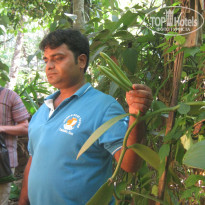 фото из отзыва ID 643885