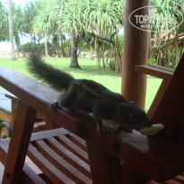 фото из отзыва ID 643939