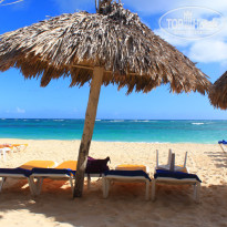 фото из отзыва ID 643965