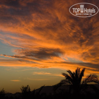 фото из отзыва ID 64419