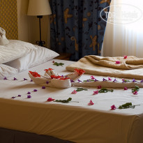 фото из отзыва ID 64419