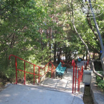 фото из отзыва ID 644054