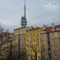 фото из отзыва ID 644140