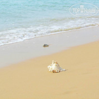 фото из отзыва ID 644670