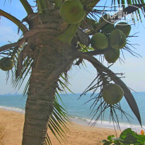 фото из отзыва ID 644670