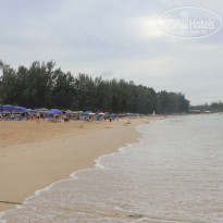 фото из отзыва ID 644804