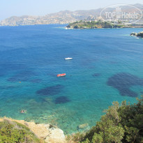 фото из отзыва ID 644850