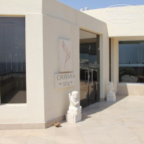 фото из отзыва ID 644911