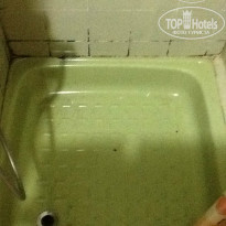 фото из отзыва ID 645073