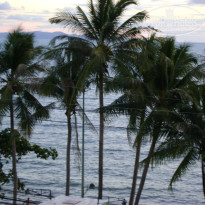 фото из отзыва ID 645258