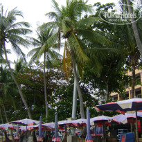 фото из отзыва ID 645258