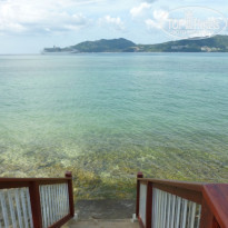 фото из отзыва ID 645450