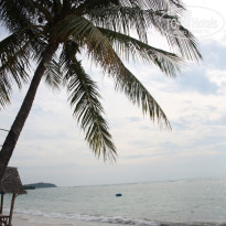 фото из отзыва ID 645536