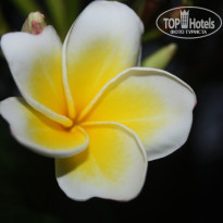 фото из отзыва ID 645536